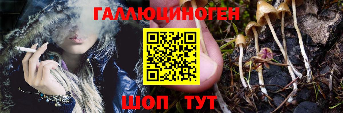 Уварово  Галлюциногенные грибы Magic Shrooms  купить   Вход с VPN 